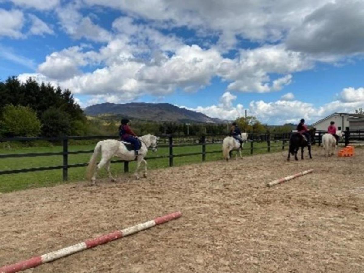 Comeragh Pods Kilmacthomas ภายนอก รูปภาพ